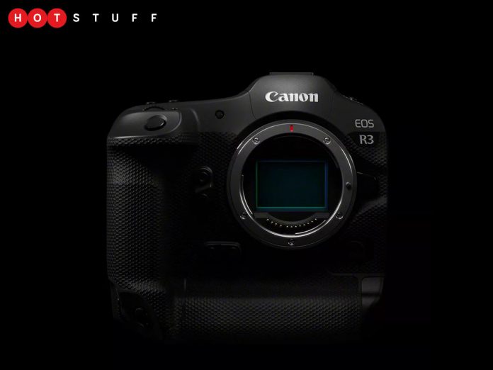 Le prochain Canon EOS R3 vise les pros en quête de vitesse