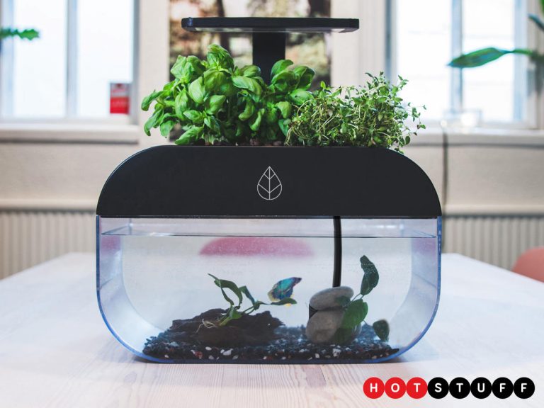 EcoGarden, un jardin et un aquarium à la fois…